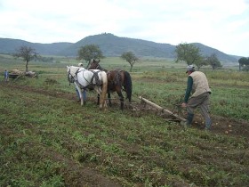 erdélyi turizmus, program ajánló, kiadó
